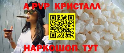 гидра Будённовск
