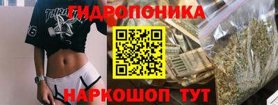 гидра Будённовск