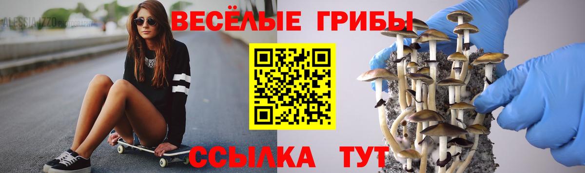 Галлюциногенные грибы MAGIC MUSHROOMS Старая Русса